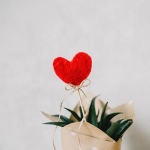 舌奴舔女王荫蒂
