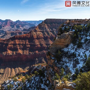 舌奴舔女王荫蒂
